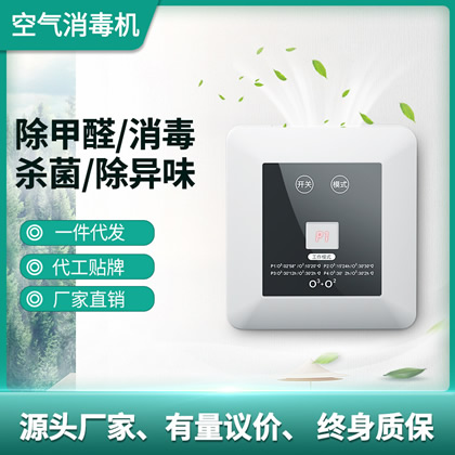 工廠(chǎng)批發(fā)家用車(chē)載便攜式汽車(chē)空氣凈化器負(fù)離子凈化器除異味